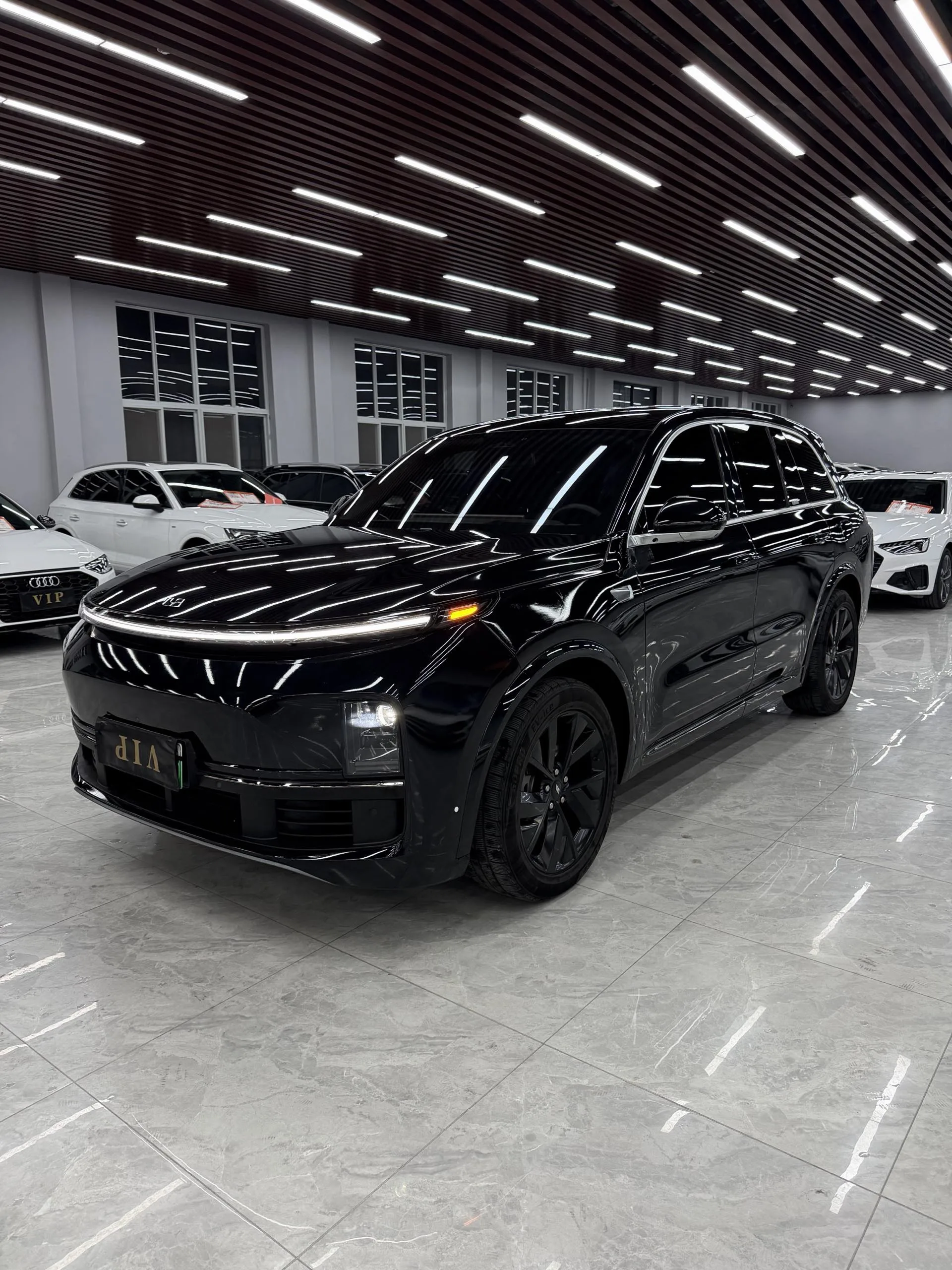 Li Auto L8 2023 Pro exterior