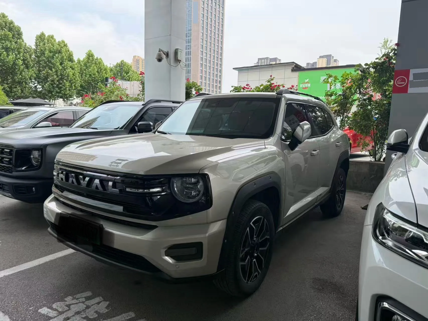 Haval 2026 Great Dog PLUS Hi4 1.5T 150km "Trendy Electric" Edition, Automatic Transmission exterior