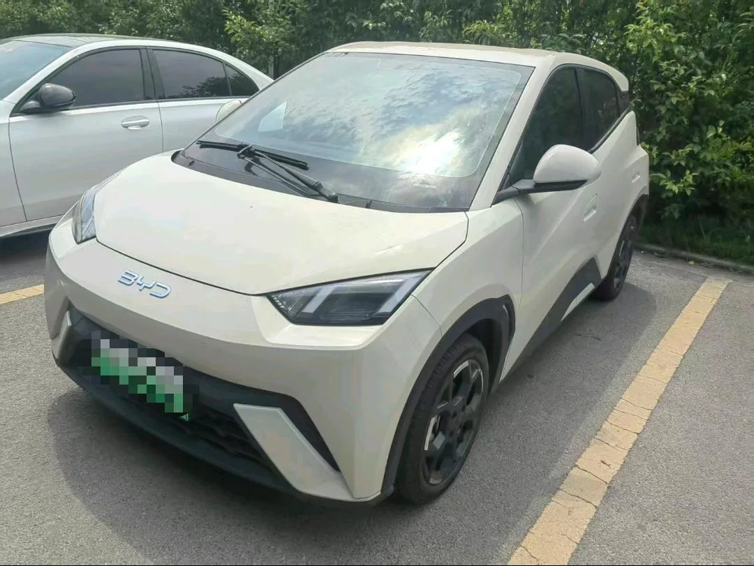 BYD 2024 Seagull Glory Edition 405km/h Flying Edition Automatic Transmission exterior