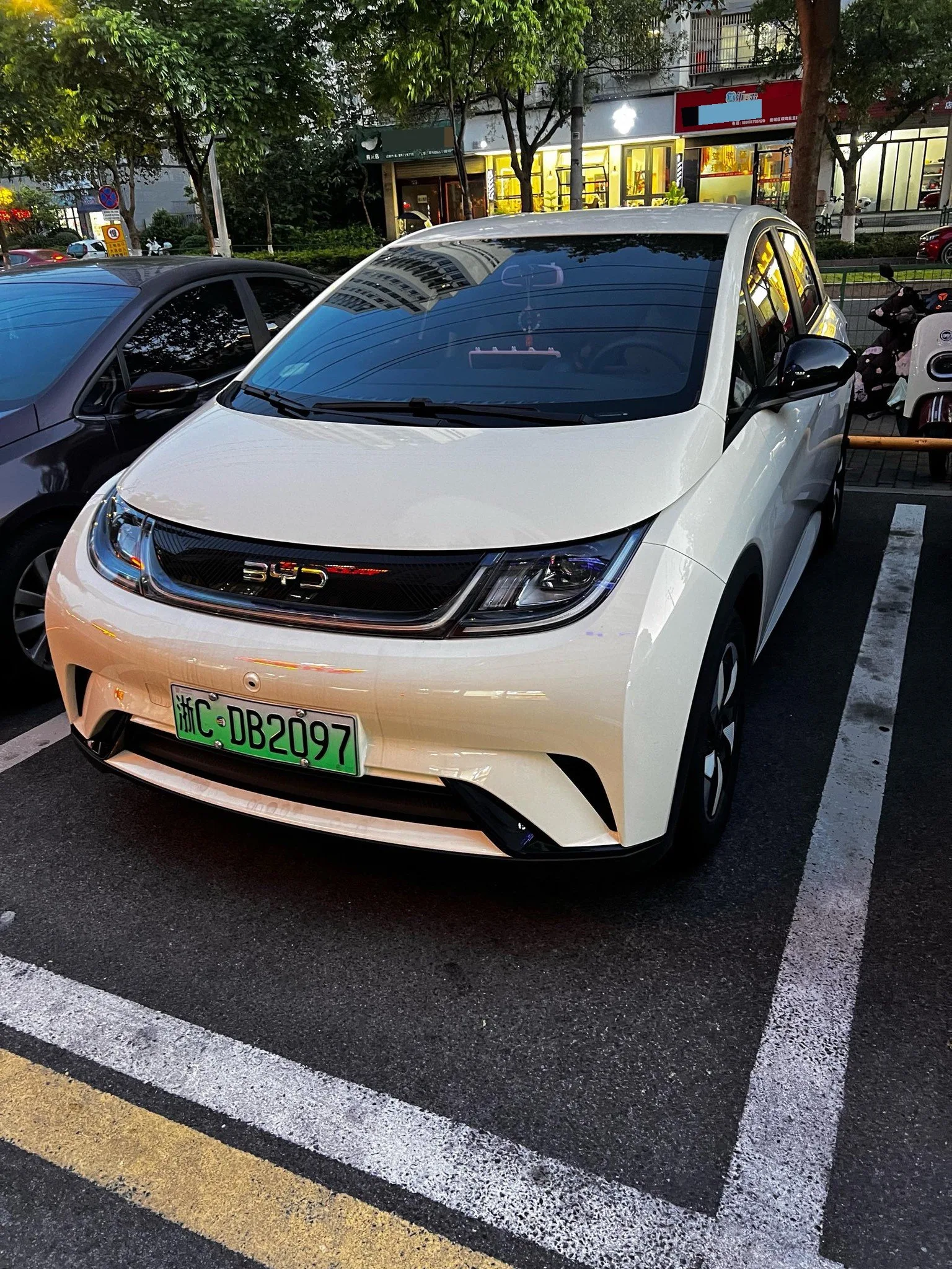 BYD 2025 Dolphin 420km Vitality Edition Automatic exterior