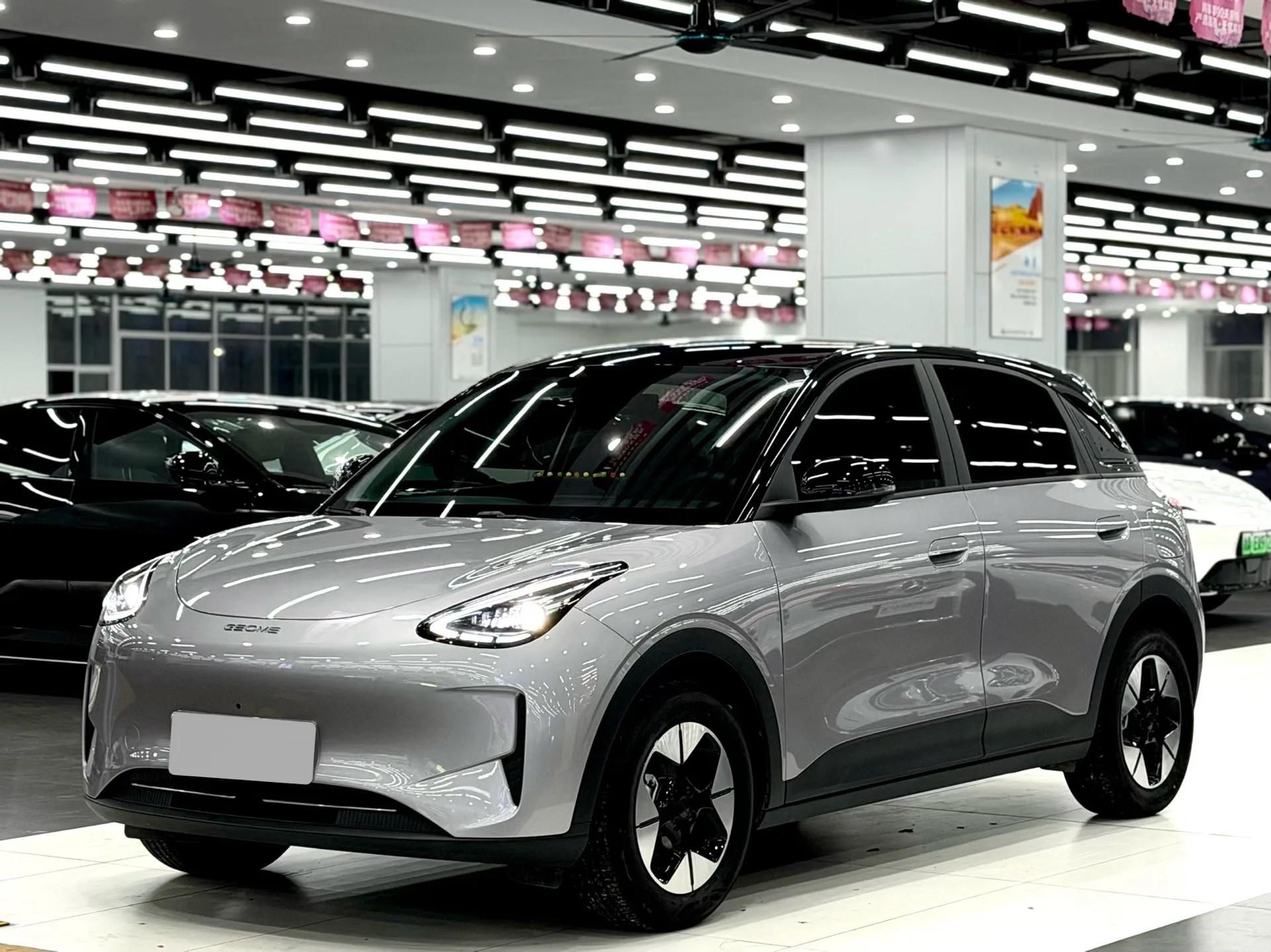 Star Wish 2026 Model 410km Freedom Edition exterior