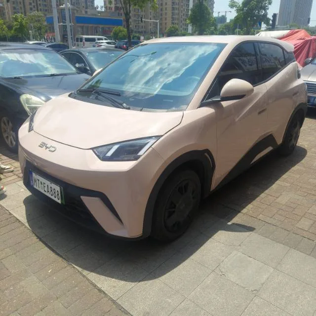 BYD 2023 Seagull Vitality Edition Automatic exterior