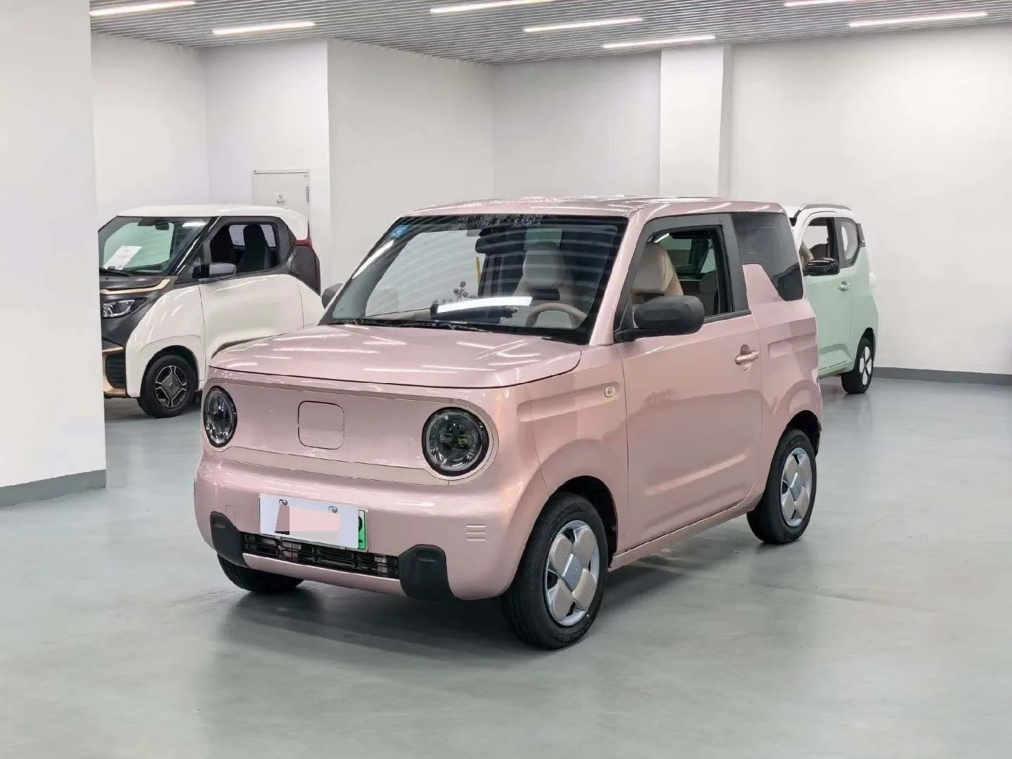 Panda 2023 Panda Mini 200km Endurance Bear exterior