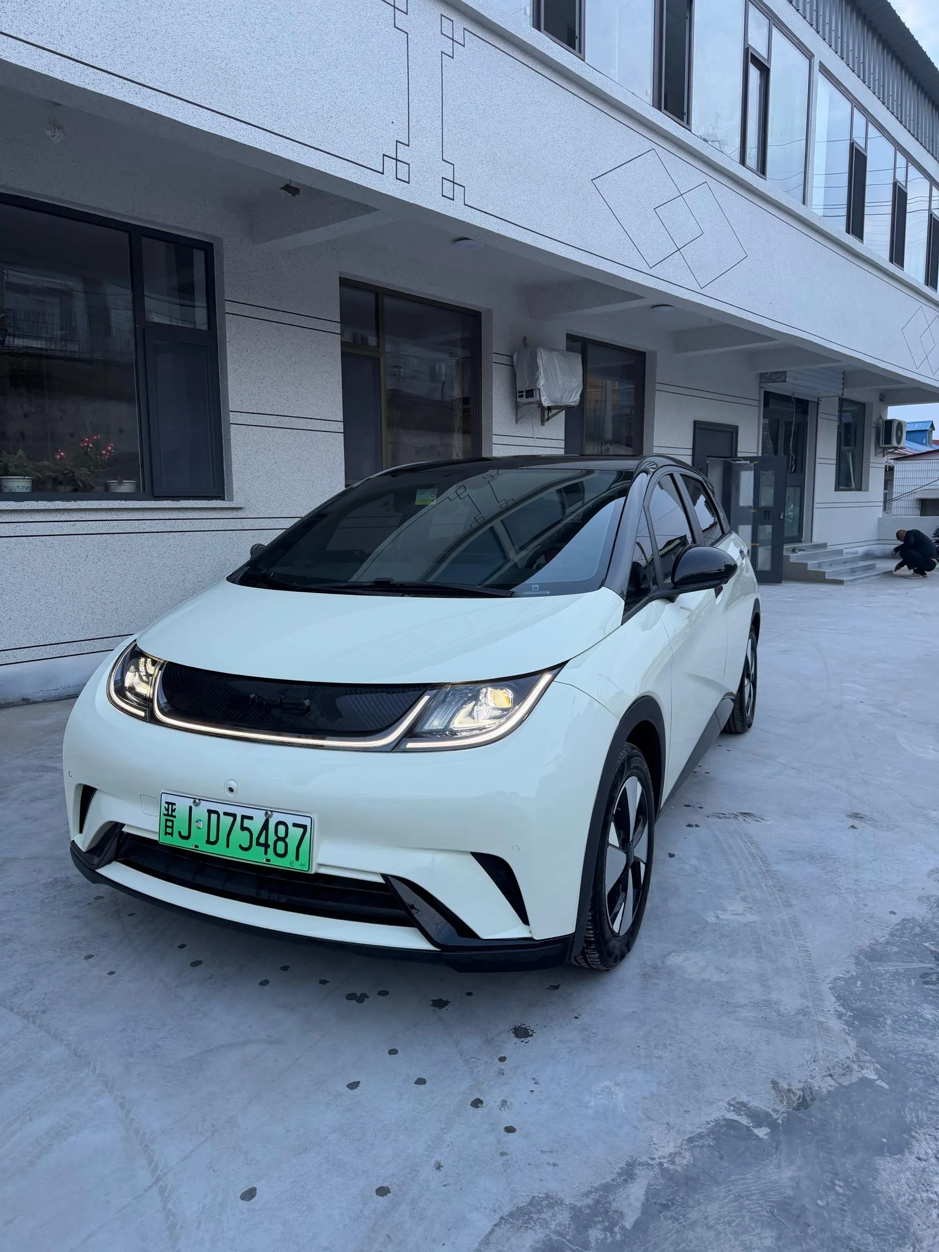 BYD 2023 Dolphin 420km Fashion Edition Automatic exterior
