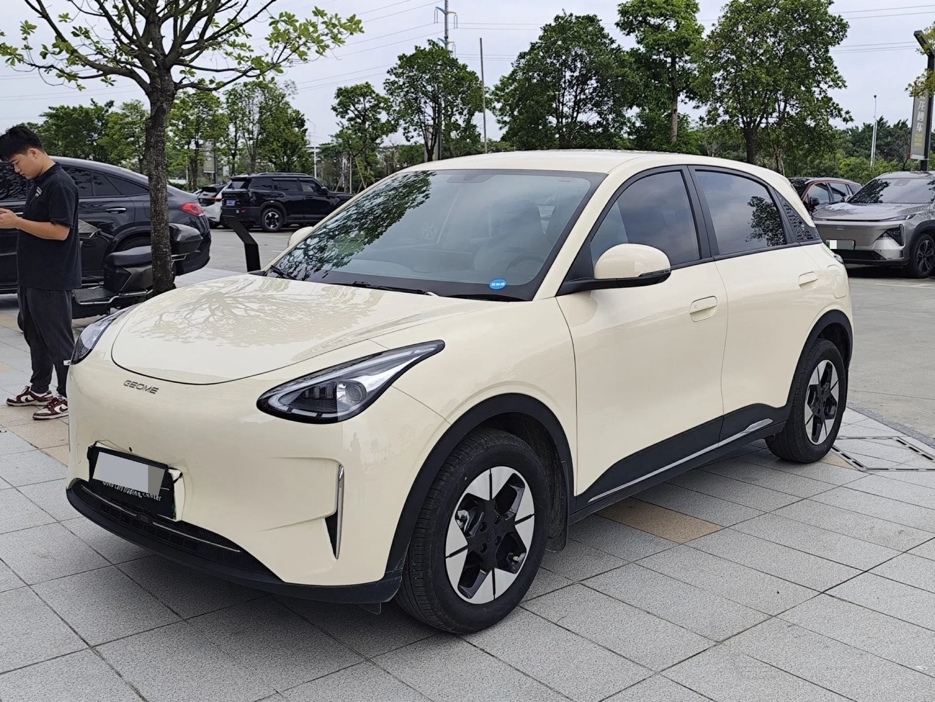 Star Wish 2025 310km Dream Edition exterior