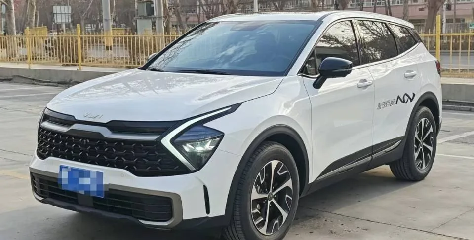 Kia 2025 Lion Platinum Edition 1.5T 2WD Premium Automatic exterior