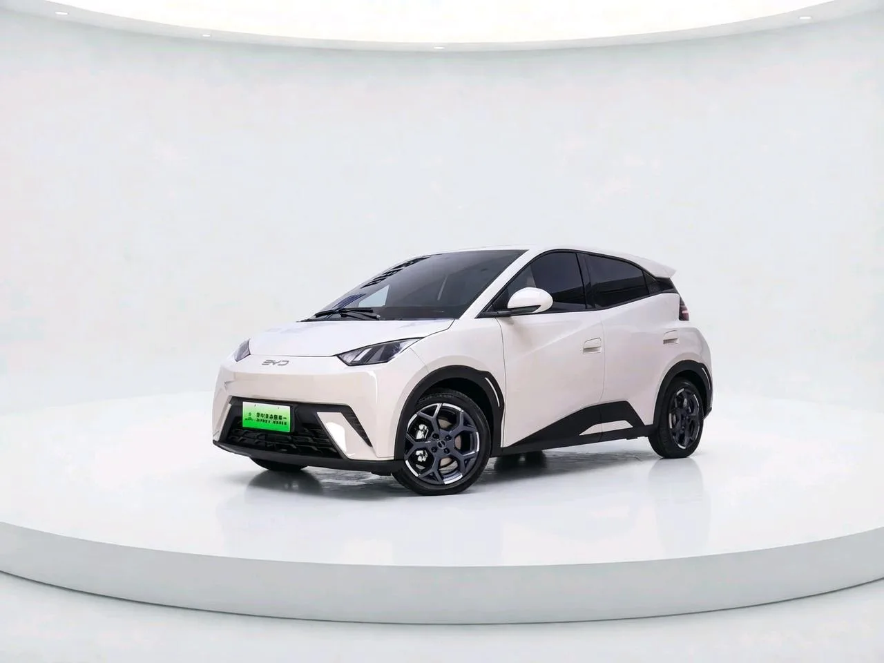 BYD 2025 Seagull Smart Driving Edition 305km Freedom Edition Automatic Transmission exterior