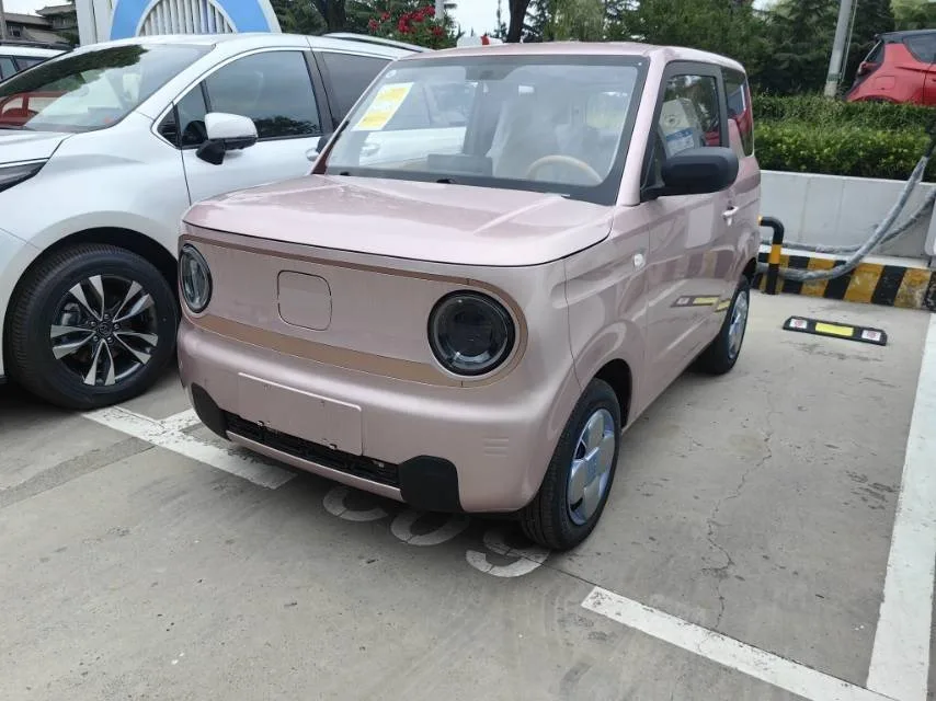 Panda 2024 Panda Mini 200km Endurance Bear exterior