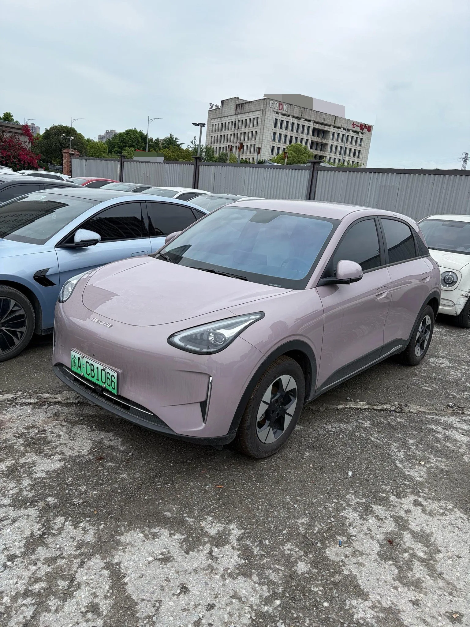 Star Wish 2026 Model 310km Dream Edition exterior