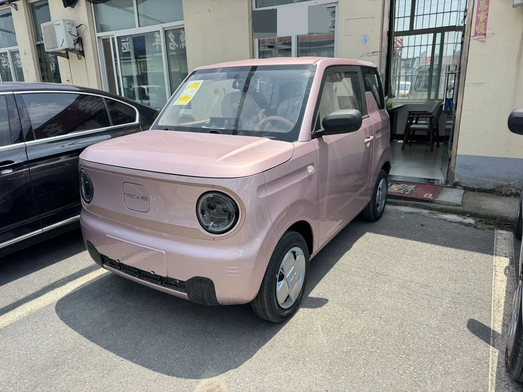 Panda 2024 Panda Mini 200km Endurance Bear exterior