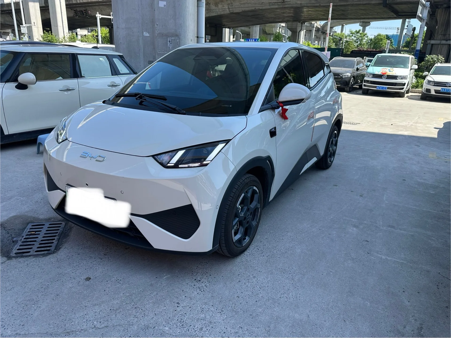 BYD 2025 Seagull Smart Driving Edition 305km Freedom Edition Automatic Transmission exterior