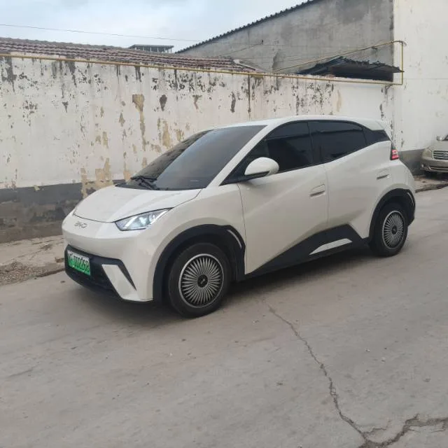 BYD 2025 Seagull 305km/h Vitality Edition Automatic exterior