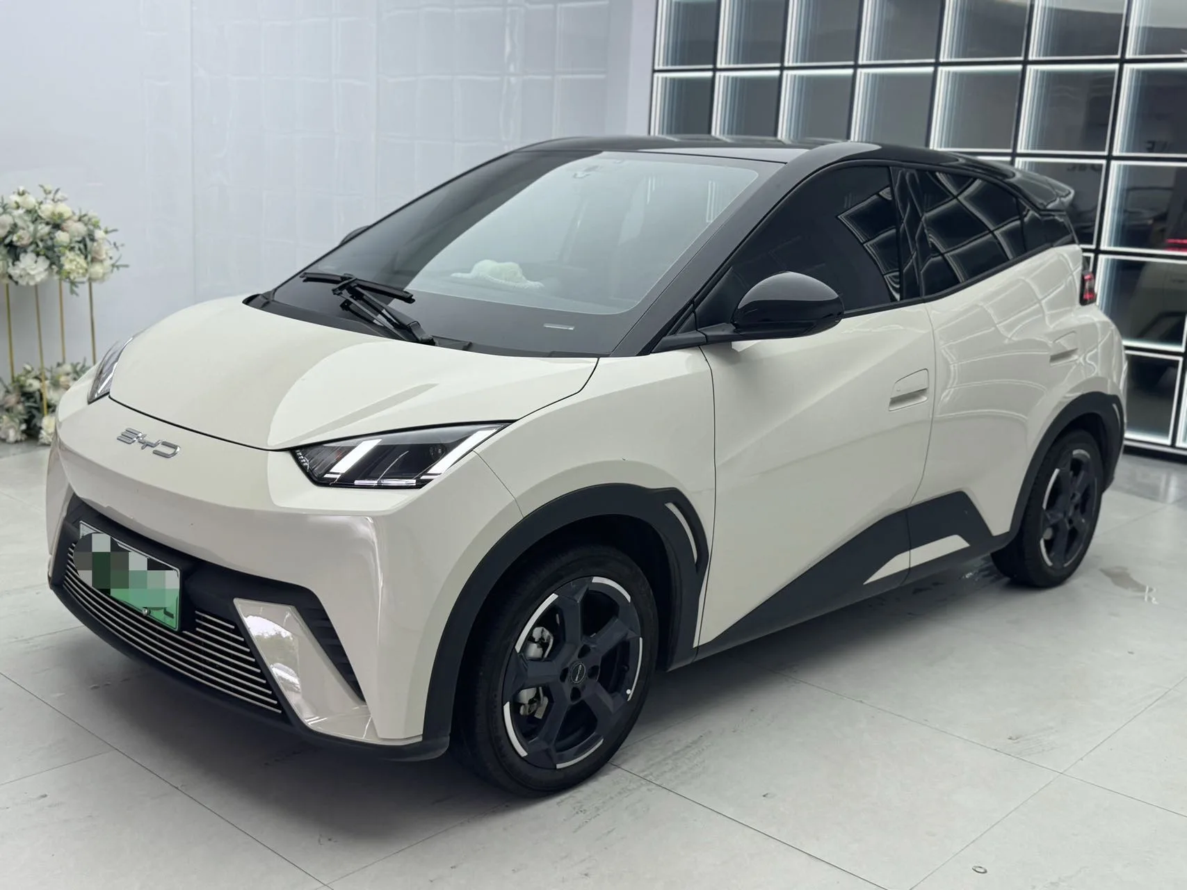BYD 2023 Seagull Freedom Edition Automatic exterior