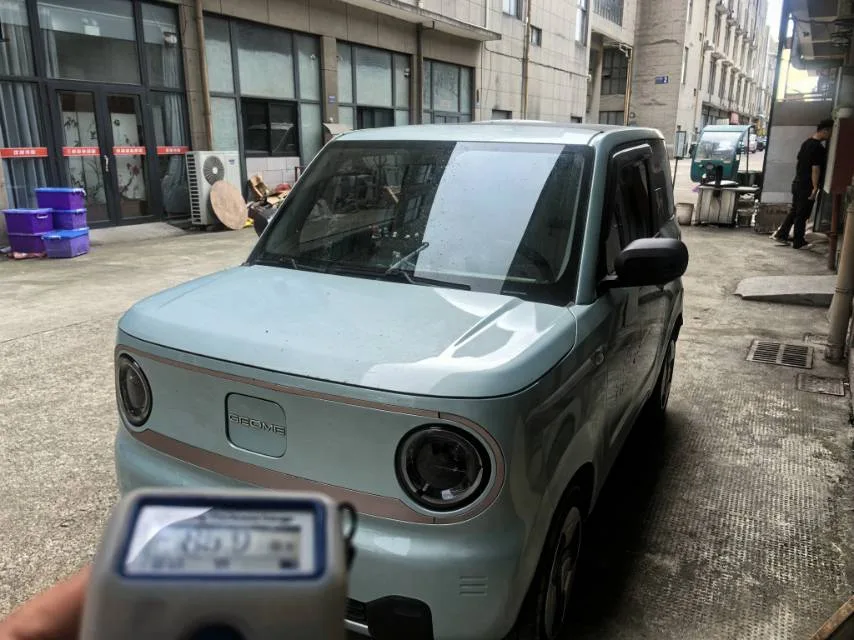 Panda 2023 Model Year Panda Mini Spring Festival Edition "Treasure Bear" exterior
