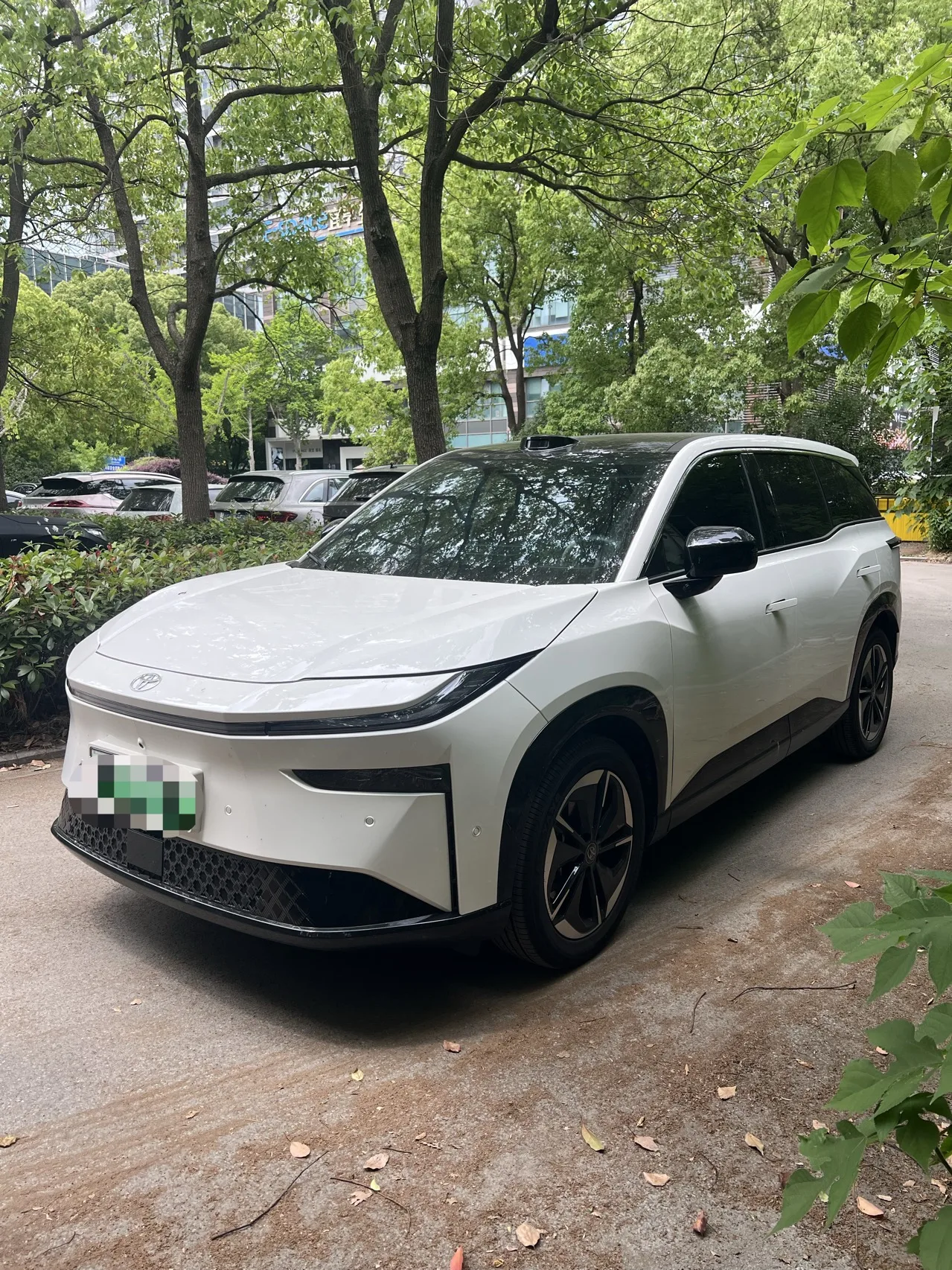 2025 Toyota Platina 3X 520 Pro Advanced Intelligent Driving Edition (Automatic Transmission) exterior