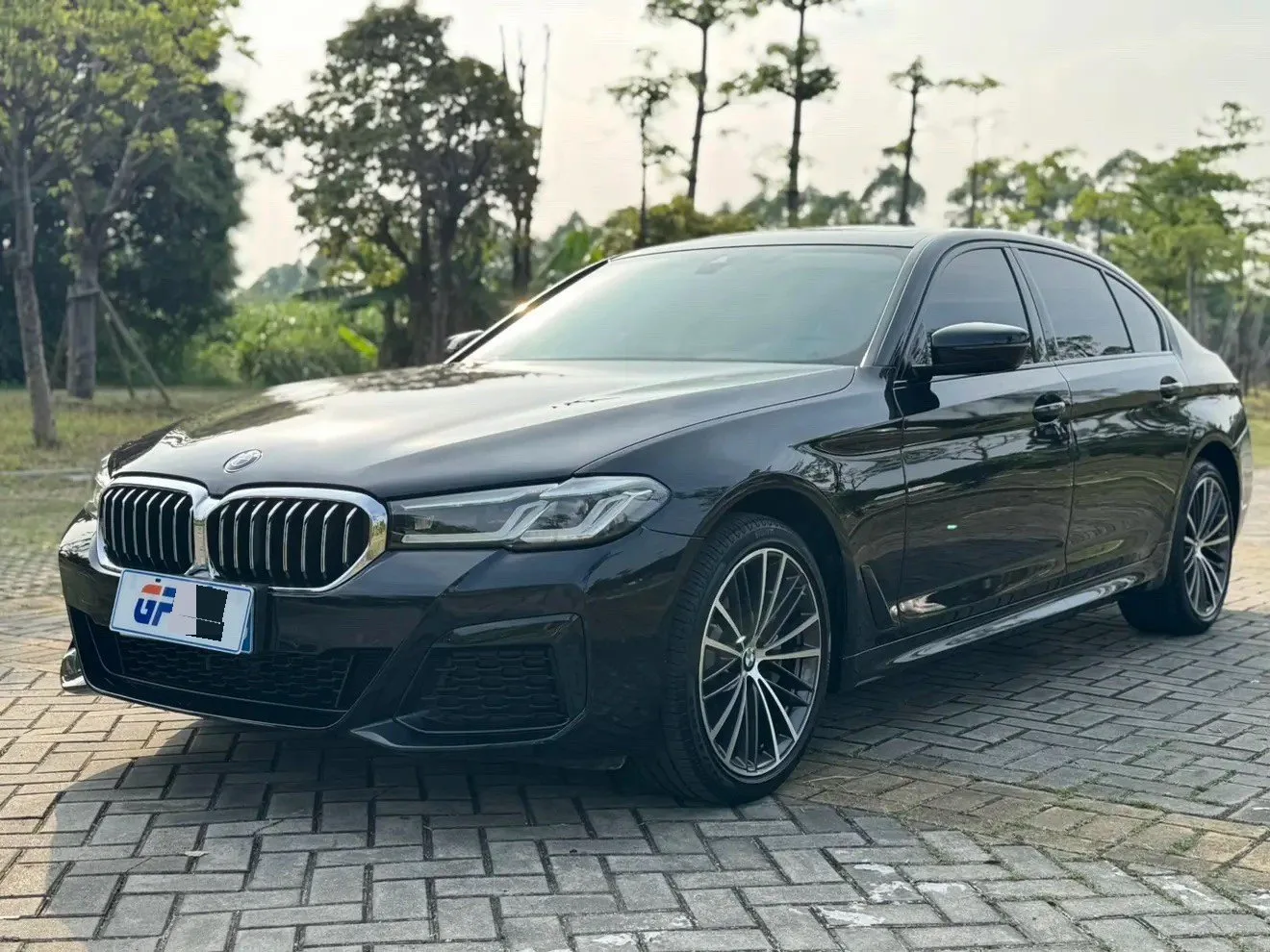 BMW 5 Series 2023 530Li 2.0T Leading Luxury Package (Facelift) Automatic exterior