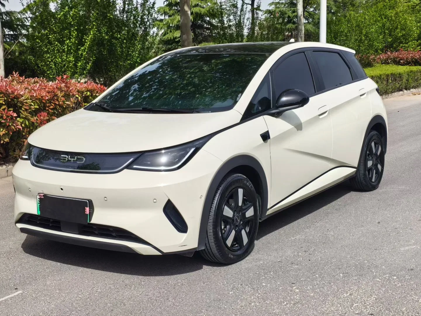 BYD 2025 Dolphin Smart Driving Edition 410km Fashion Edition Automatic exterior