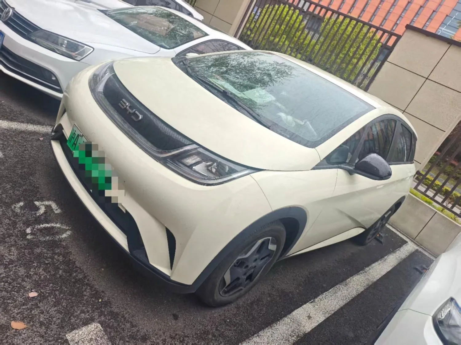 BYD 2025 Dolphin 420km Freedom Edition Automatic exterior