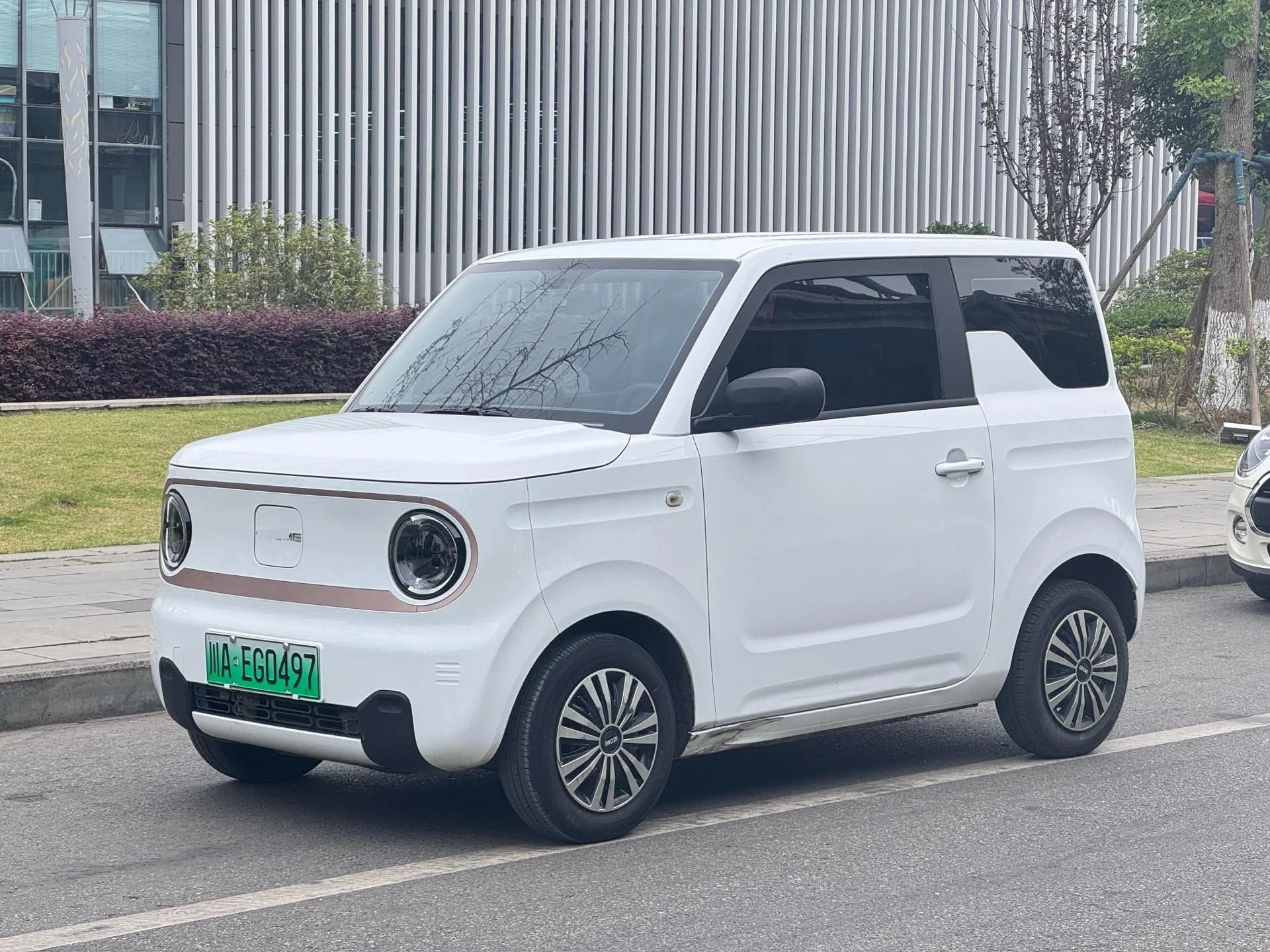 Panda 2023 Panda Mini 200km Endurance Bear exterior
