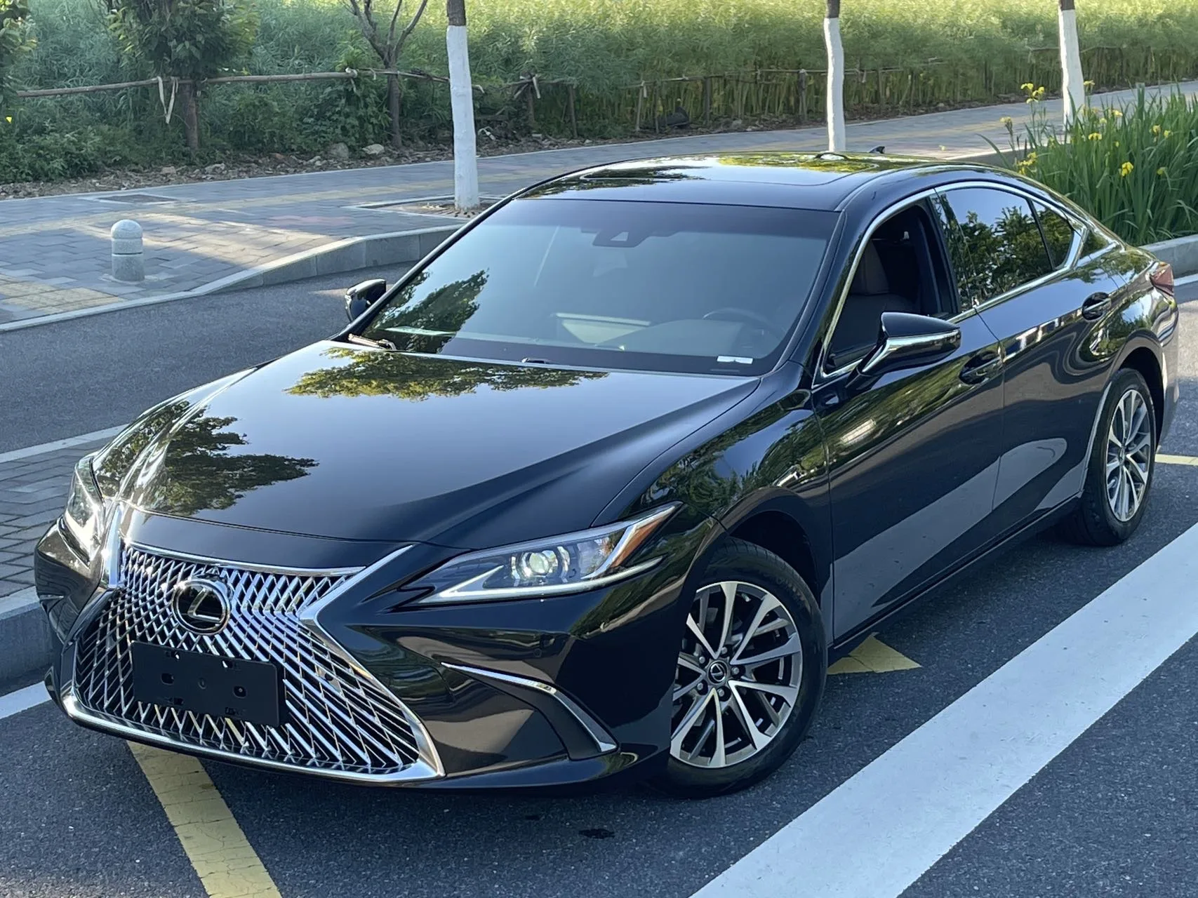Lexus ES 2023 200 Premium Edition exterior