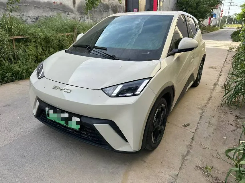 BYD 2023 Seagull Freedom Edition Automatic exterior