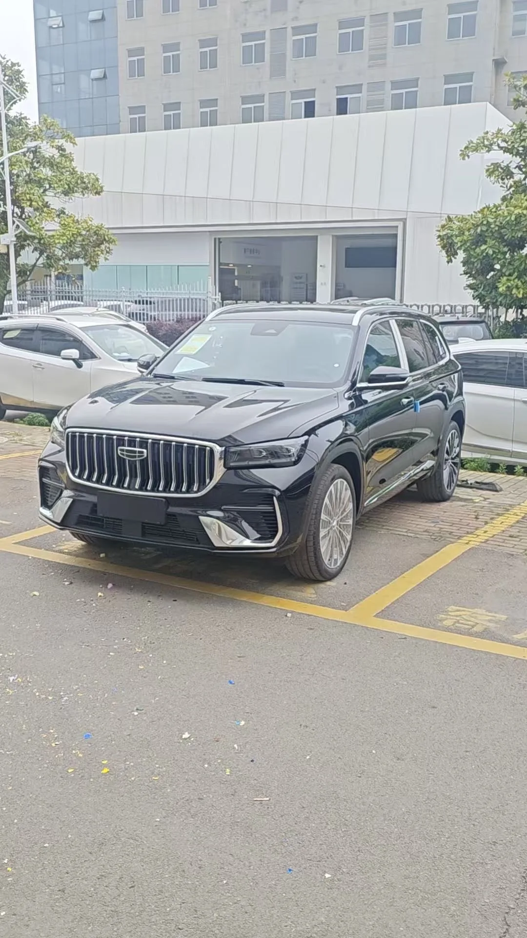 Geely 2026 Xingyue L 2.0TD Oriental Yao Xiaohan Edition Automatic exterior