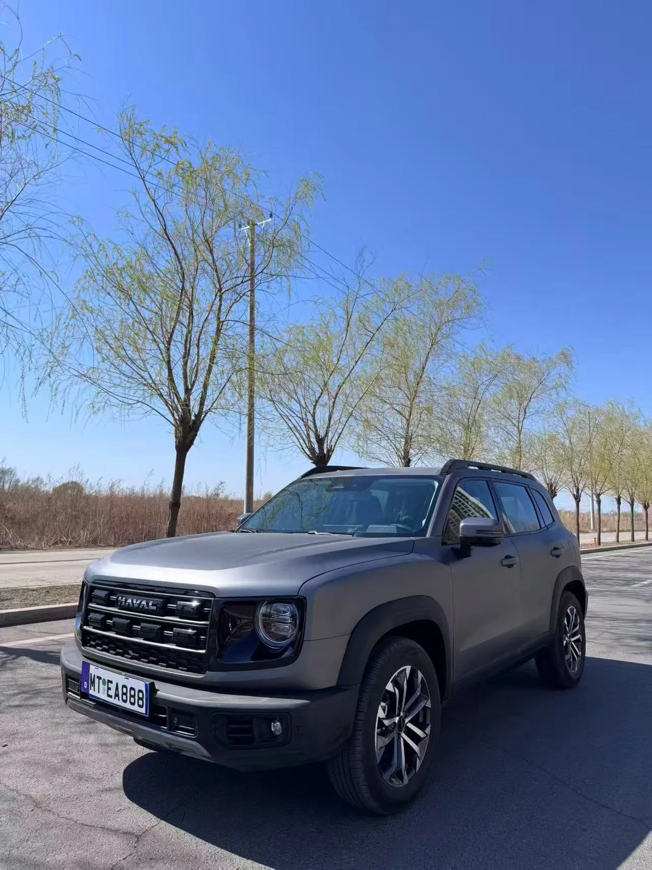 Haval 2026 Big Dog 1.5T Labrador Edition Automatic exterior