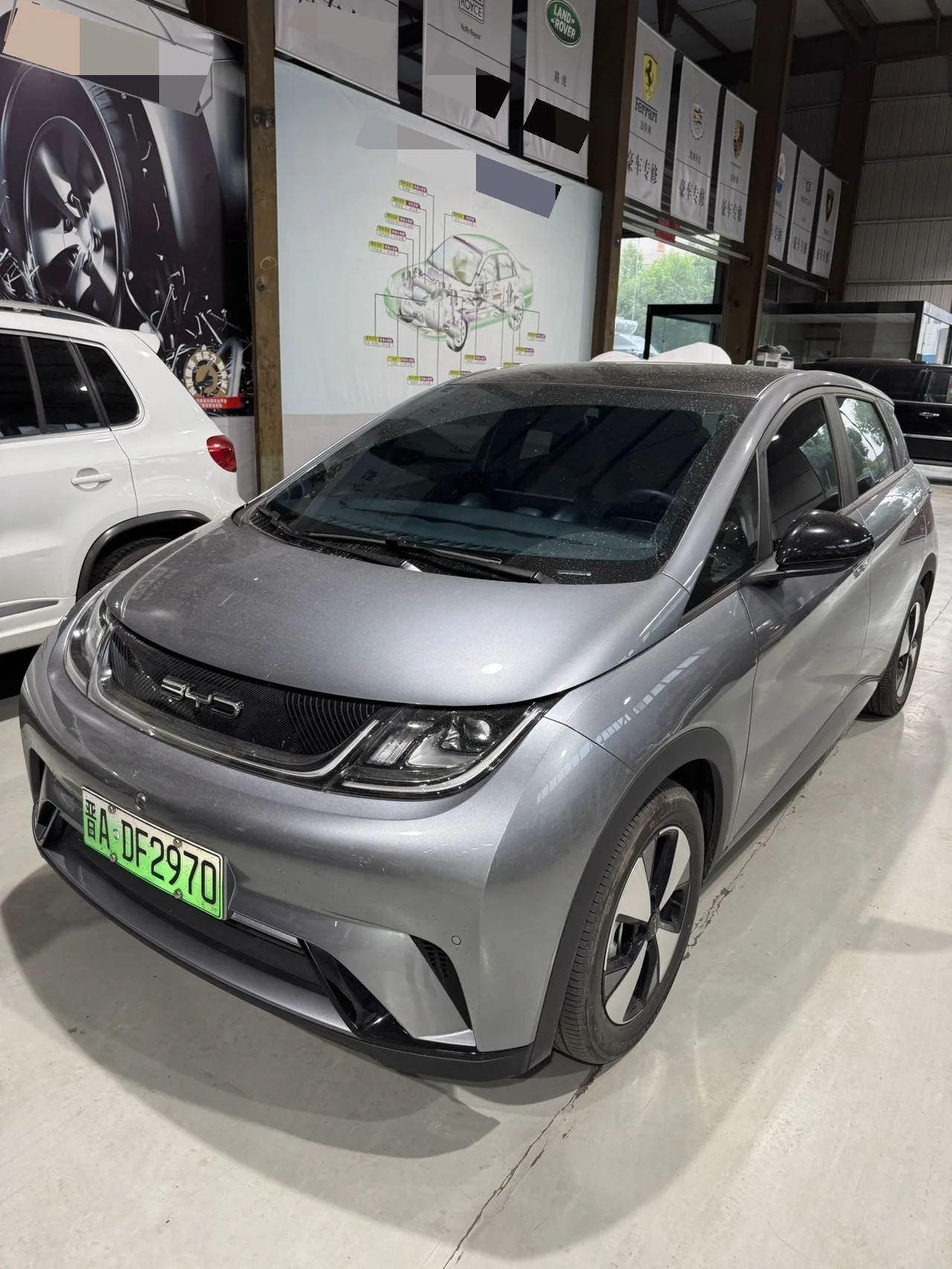 BYD 2023 Dolphin 420km Fashion Edition Automatic exterior