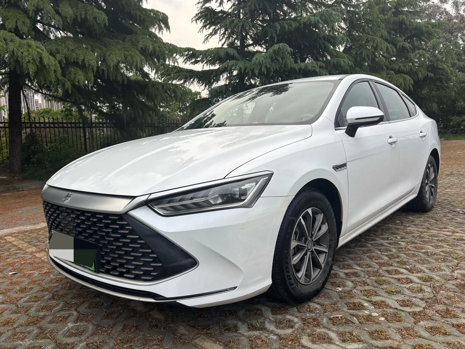 BYD 2023 Qin PLUS DM-i 1.5 CVT Champion Edition Leading Model 55KM Automatic exterior