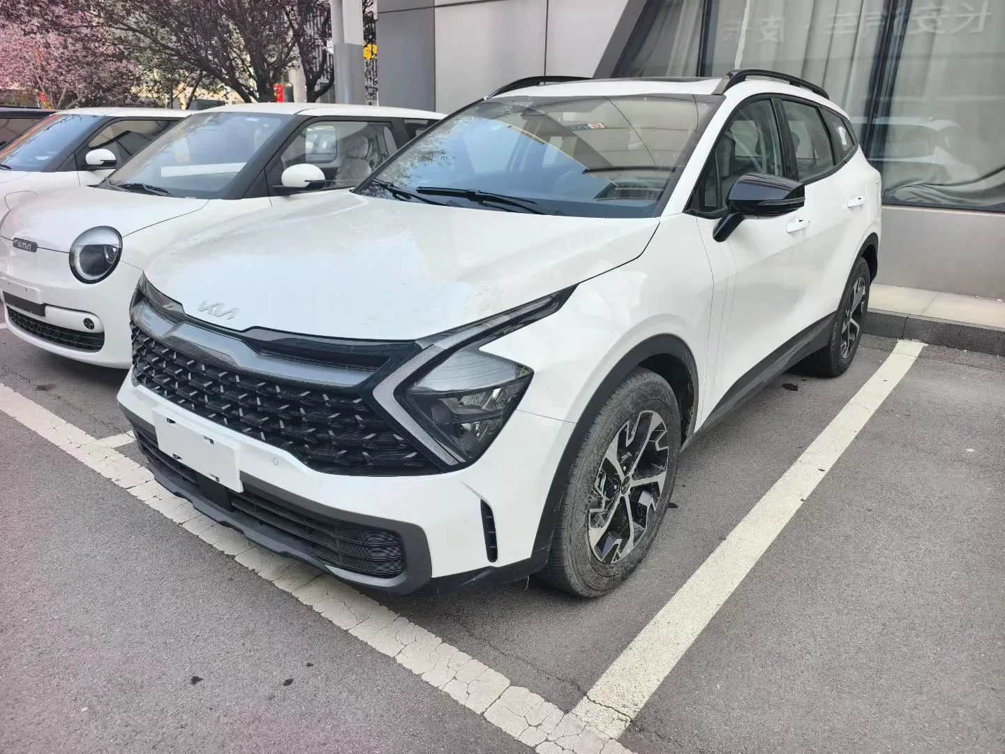 Kia 2025 Lion Platinum Edition 1.5T 2WD Premium Automatic exterior
