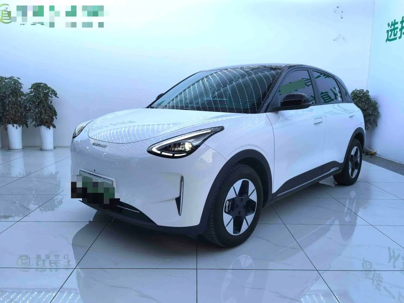 Star Wish 2025 310km Dream Edition exterior